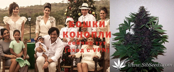 каннабис Алзамай